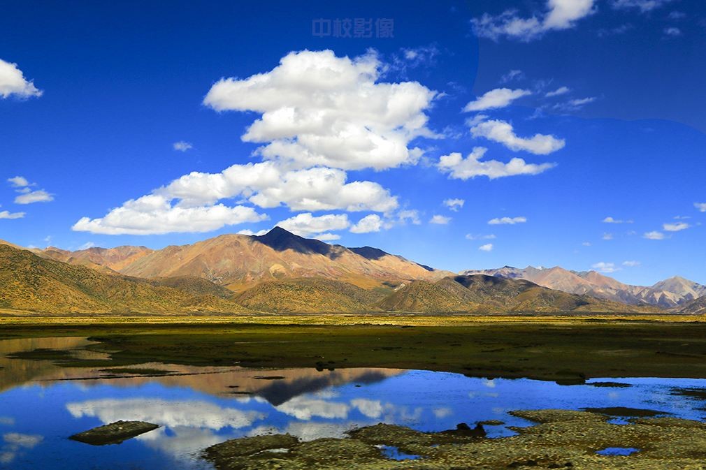 ��ҳ- �������ǲ��й��ٷ���վ