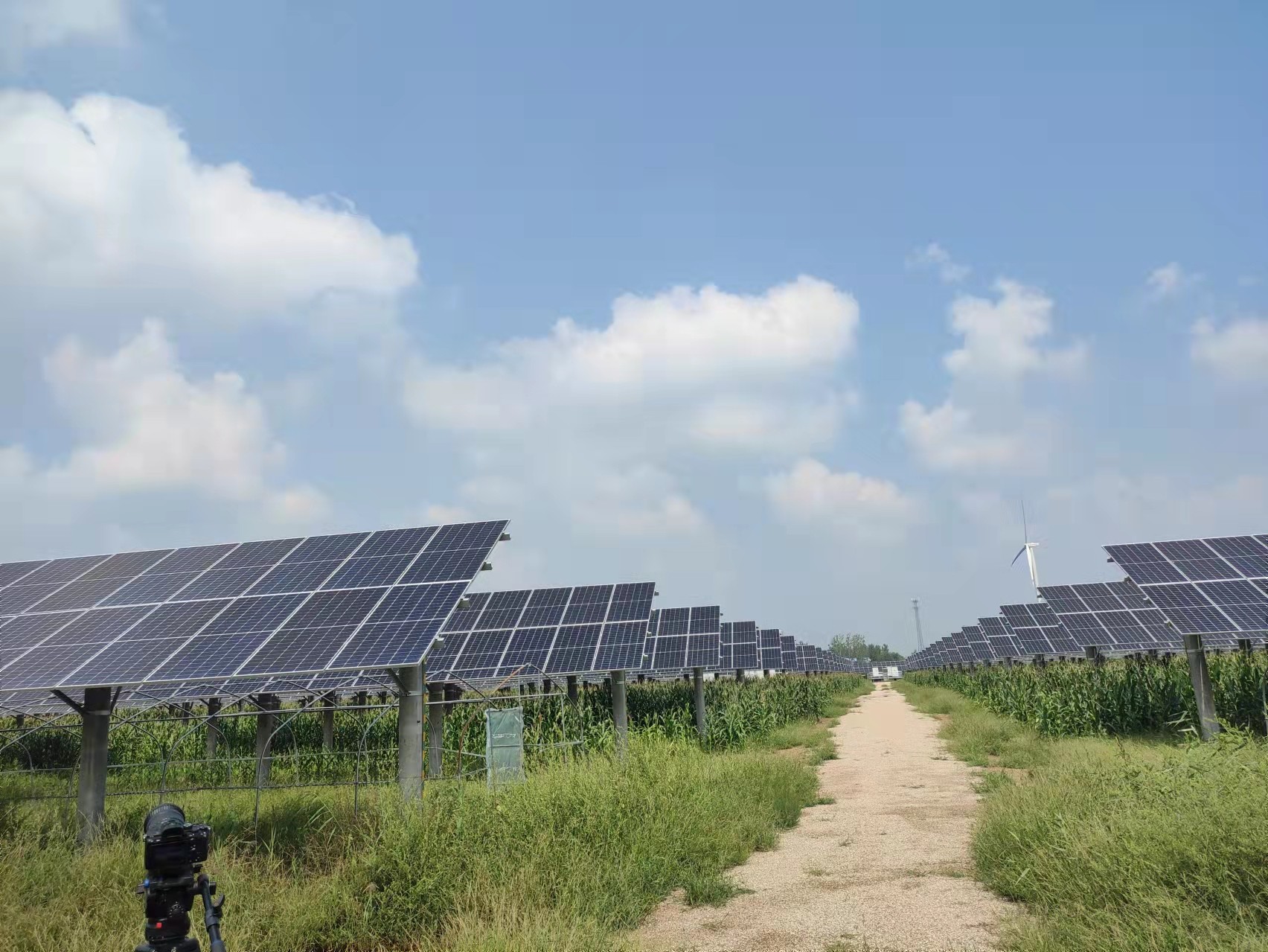 ��ҳ- �������ǲ��й��ٷ���վ